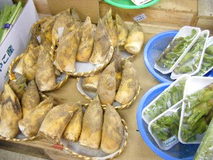 20100319 -�ފ݂��� �f��-_3