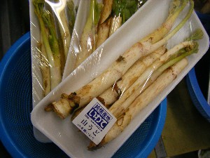 20100319 -�ފ݂��� �f��-_7