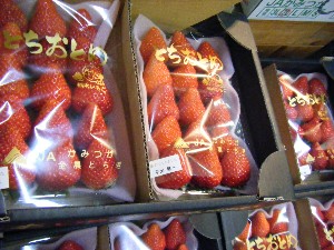 20100319 -�ފ݂��� �f��-_20