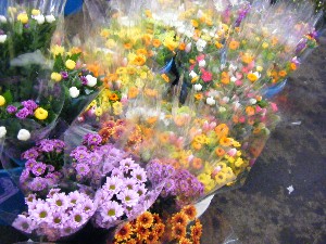 20100319 -�ފ݂��� �f��-_25