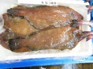 20100319 -�ފ݂��� �f��-_43