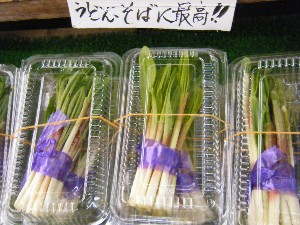 20100327 -���T�̔����ł�-_11