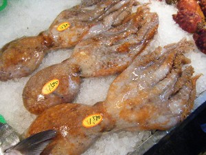 20100327 -���T�̔����ł�-_32
