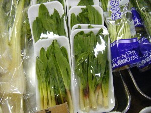 20100403 -���T�̔����ł�-_5