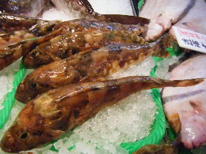 20100403 -���T�̔����ł�-_28