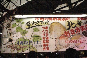 20100403 -�t�킳�ю�����-_1