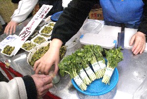 20100403 -�t�킳�ю�����-_3