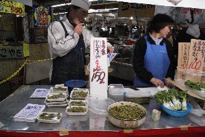 20100403 -�t�킳�ю�����-_17