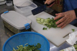 20100403 -�t�킳�ю�����-_24