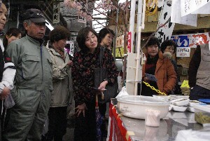 20100403 -�t�킳�ю�����-_26