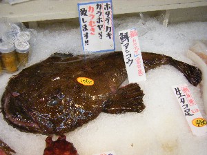 20100410 -���T�̔����ł�-_24