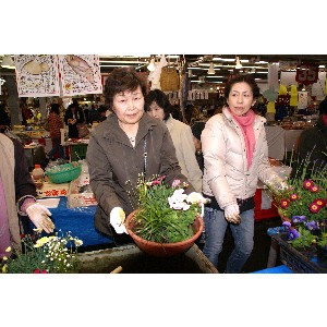 20100418 -�Ԃ̊񂹐A��������-_17