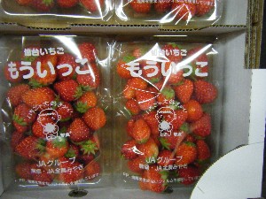 20100417 -���T�̔����ł�-_14
