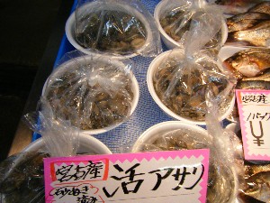20100417 -���T�̔����ł�-_31