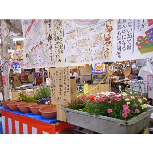 20100418 -�Ԃ̊񂹐A��������-_4