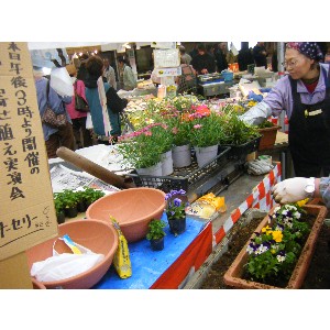 20100418 -�Ԃ̊񂹐A��������-_6
