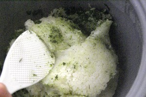 20100424 -������ݎ�����-_15