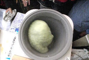 20100424 -������ݎ�����-_19