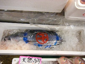 20100424 -���T�̔����-_7