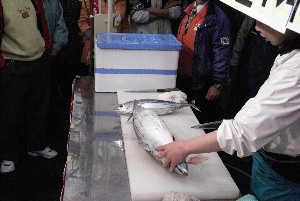 20100501 -�����̍ق���������-_19