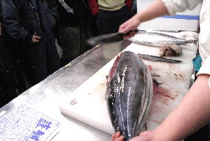 20100501 -�����̍ق���������-_3