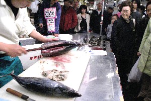 20100501 -�����̍ق���������-_4