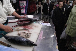 20100501 -�����̍ق���������-_25