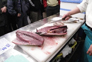 20100501 -�����̍ق���������-_26