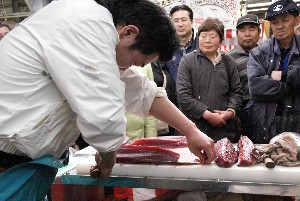 20100501 -�����̍ق���������-_33