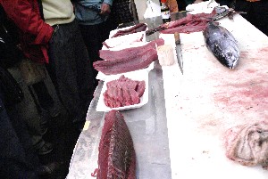 20100501 -�����̍ق���������-_8