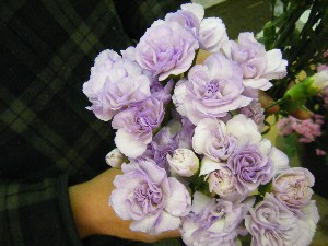 20100508 -���T�̔����ł�-_38