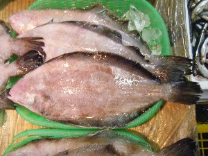 20100508 -���T�̔����ł�-_56