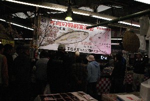 20100528 -�A�W�̎J����������-_3