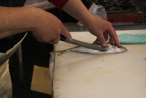 20100528 -�A�W�̎J����������-_8