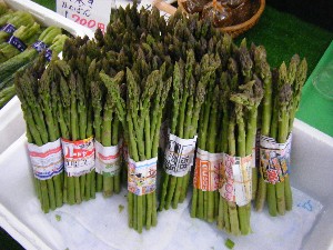 20100528 -���T�̔����ł�-_25