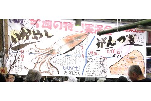 20100606 -����Â�����������-_2