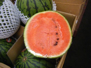 20100618 -���T�̔����ł�-_13