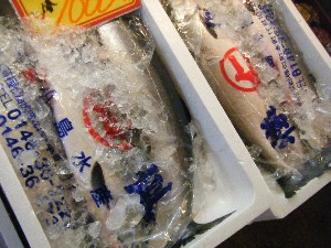 20100618 -���T�̔����ł�-_33