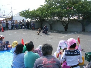 20100618 - 񂵌-_9