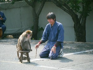 20100618 - 񂵌-_10