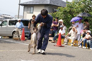 20100618 -������ ���񂵌���2-_7