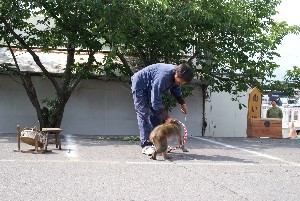 20100618 -������ ���񂵌���2-_10