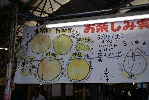 20100626 -�~�̃��L���[���Ђ�����-_1