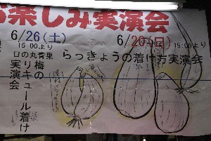 20100627 -������傤�̈�C�Ђ�-_2