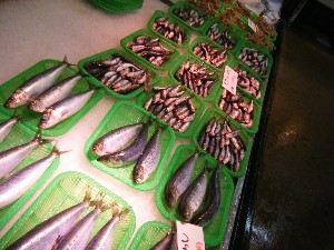 2010703 -���T�̔����ł�-_45