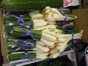 2010/07/10 -���T�̔����ł�-_5