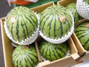 2010/07/10 -���T�̔����ł�-_13