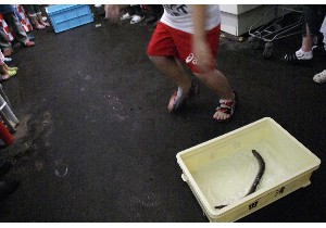 2010/07/17 -���Ȃ��͂ݍ̂���-_10