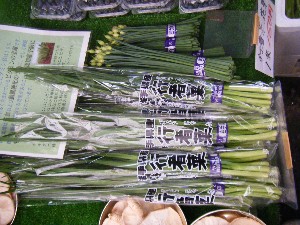 2010/07/17 -���T�̔����ł�-_10