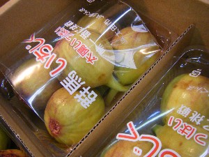 2010/07/17 -���T�̔����ł�-_13